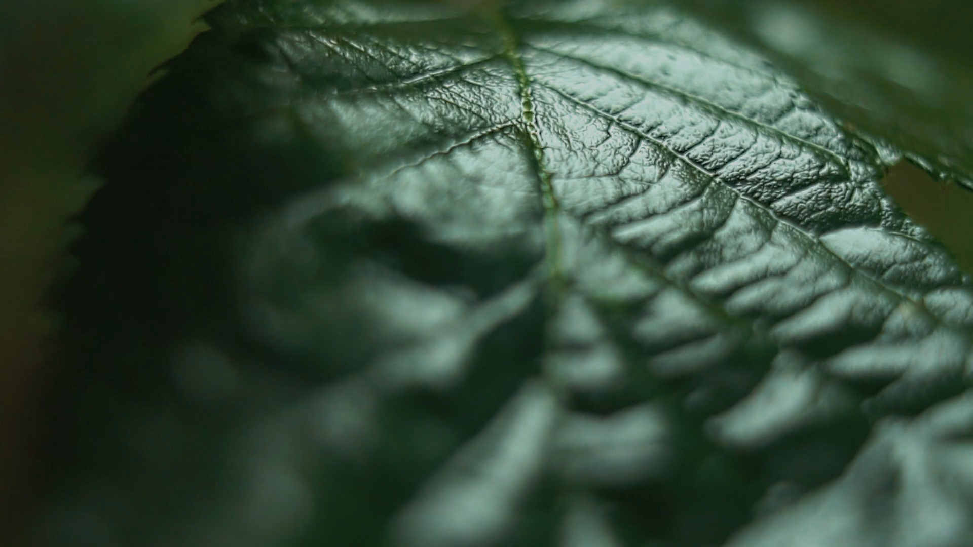 Strukturiertes Detailbild